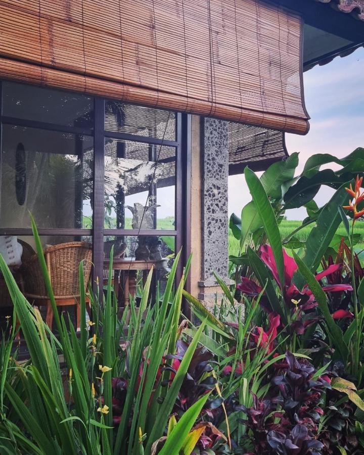 Sava Eco Retreat Otel Padangan  Dış mekan fotoğraf