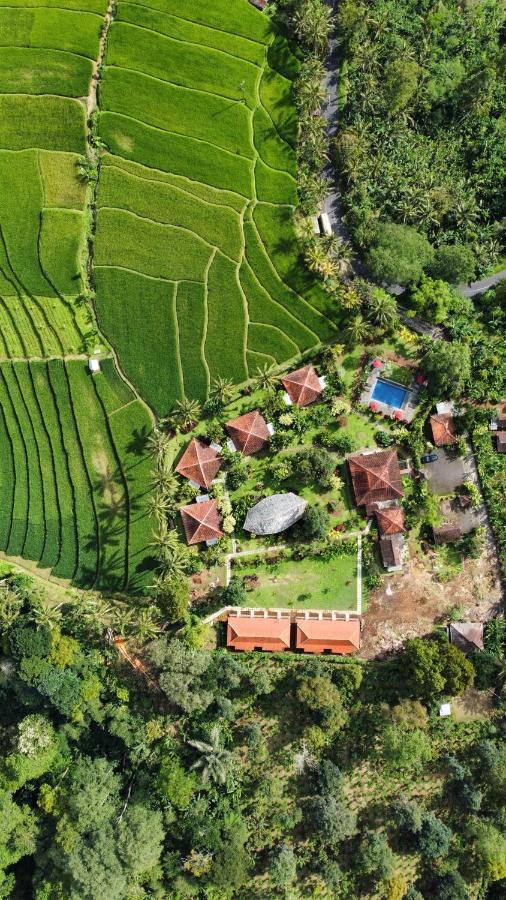 Sava Eco Retreat Otel Padangan  Dış mekan fotoğraf