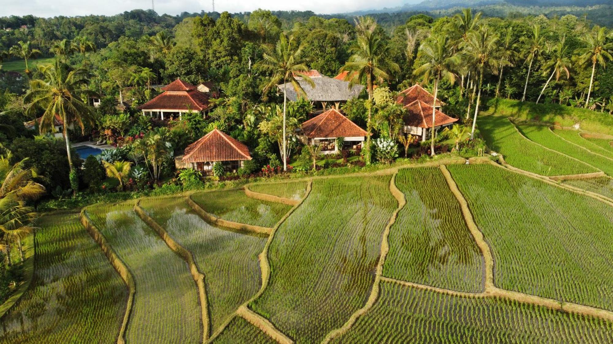 Sava Eco Retreat Otel Padangan  Dış mekan fotoğraf